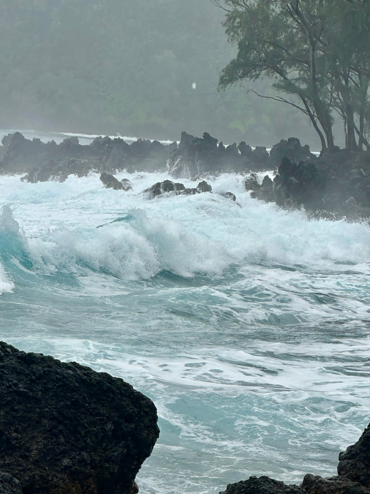 Maui & Big Island, Hawai ( Dec 29th- Jan 5th 2026)&nbsp;Trip